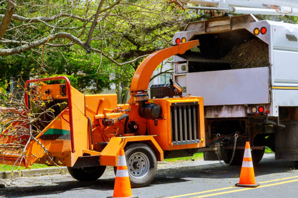 How Our Tree Care Process Works  in  Greenock, PA